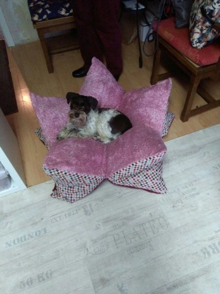 Kuschelsack von Beauty-Dog Piller